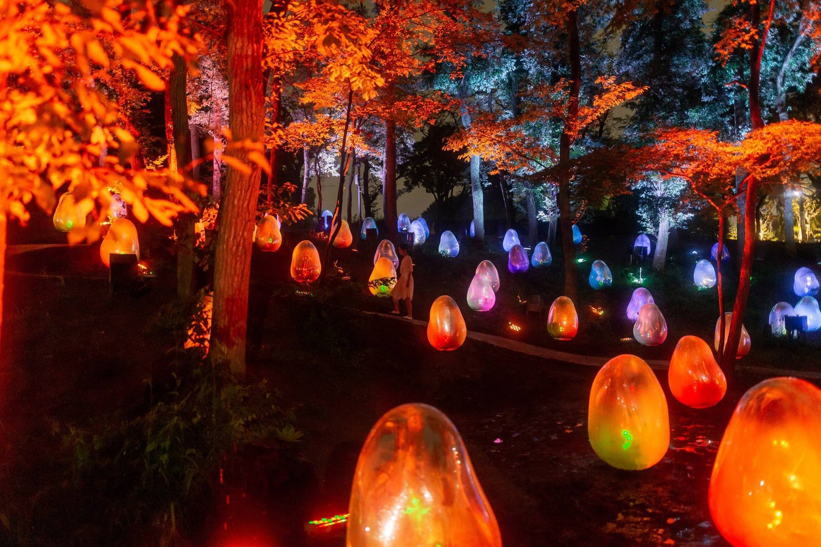 Khung cảnh ma mị vào ban đêm/ Ảnh: teamLab's