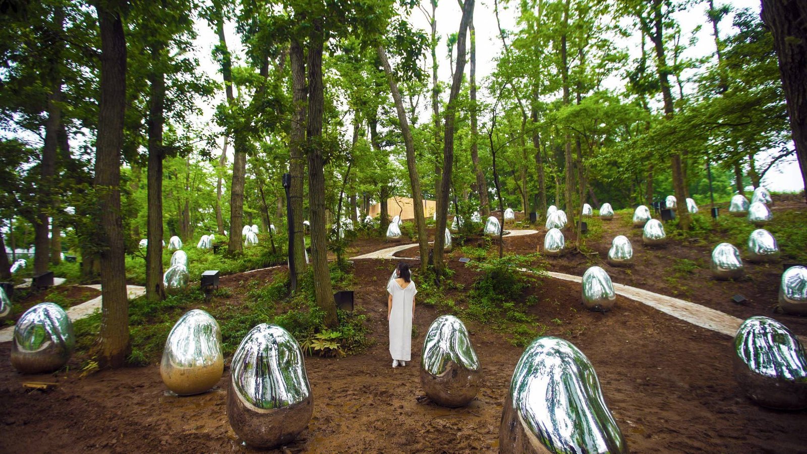 Bóng cây phản chiếu lên các quả trứng/ Ảnh: teamLab's