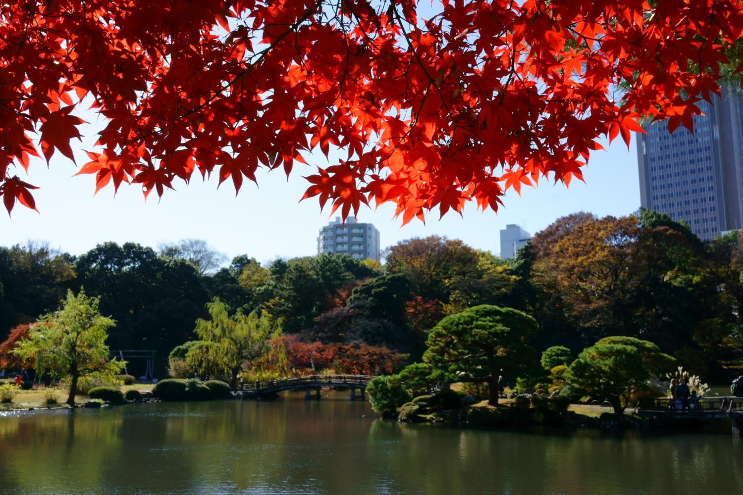 Photo: www.ambassadors-japan.com
