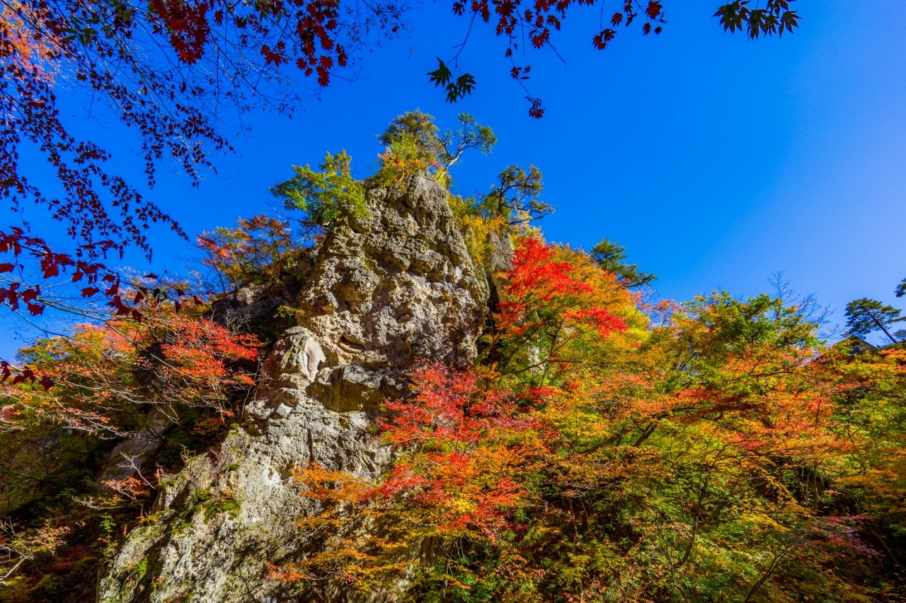 Photo: https://www.tohokukanko.jp