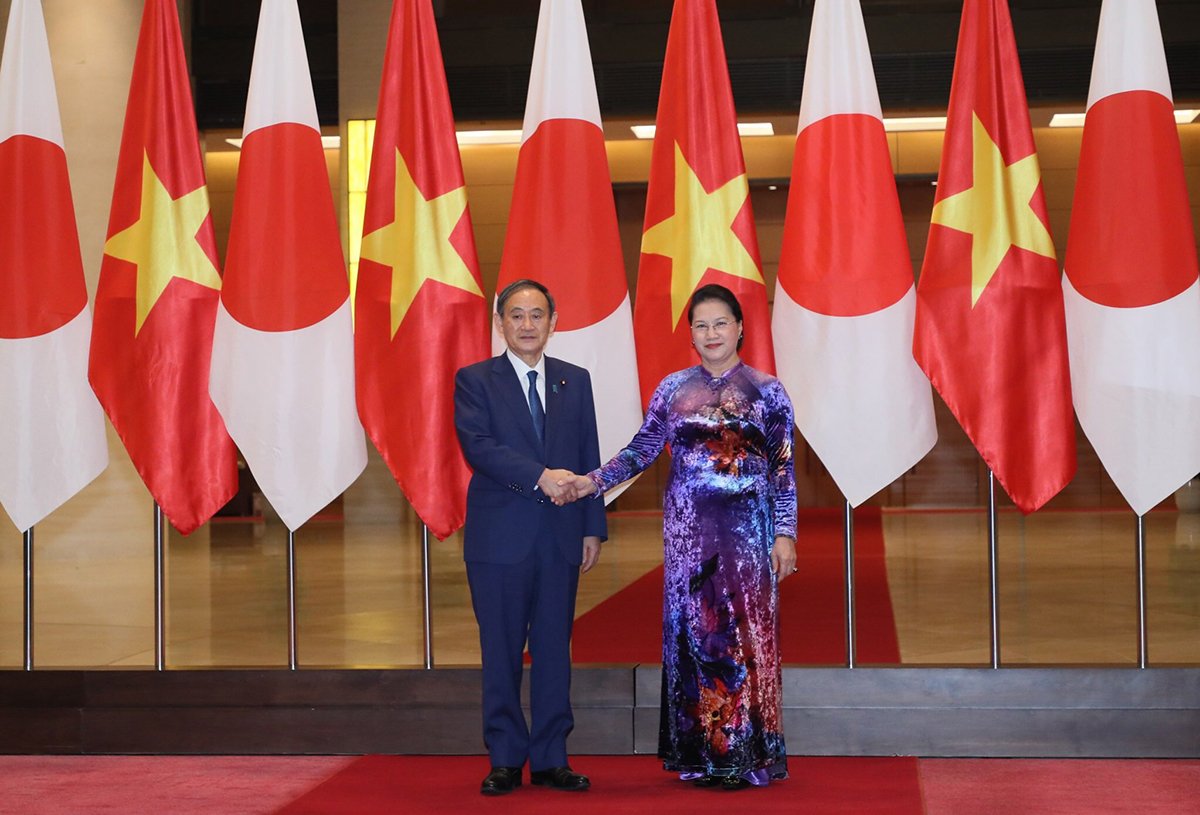 Hình ảnh bài viết NIPIKO