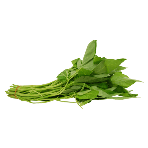 Hình ảnh bài viết NIPIKO