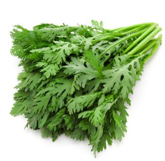 Hình ảnh bài viết NIPIKO