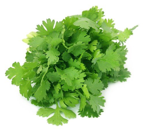 Hình ảnh bài viết NIPIKO