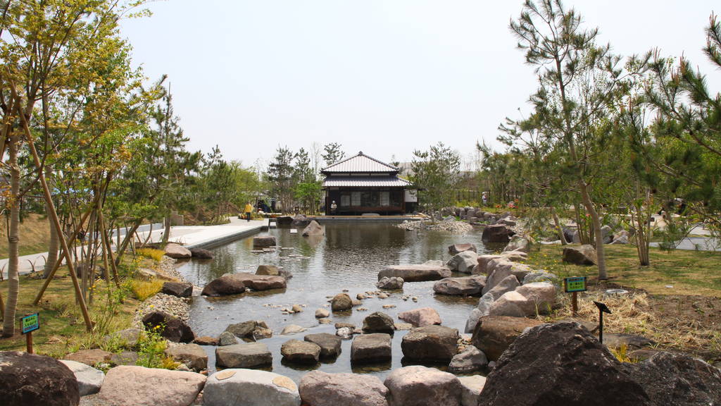 Hình ảnh bài viết NIPIKO