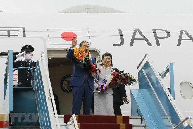 Hình ảnh bài viết NIPIKO