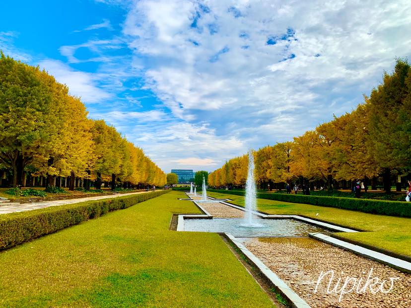 Ngắm lá thu ở công viên Showa Kinen Park