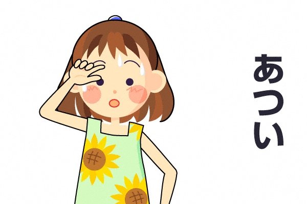 Hình ảnh bài viết NIPIKO