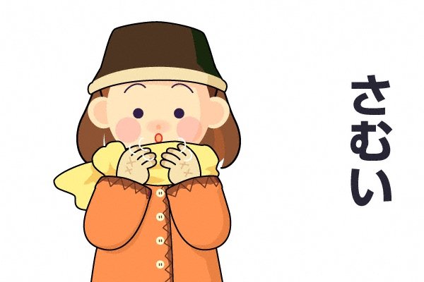 Hình ảnh bài viết NIPIKO