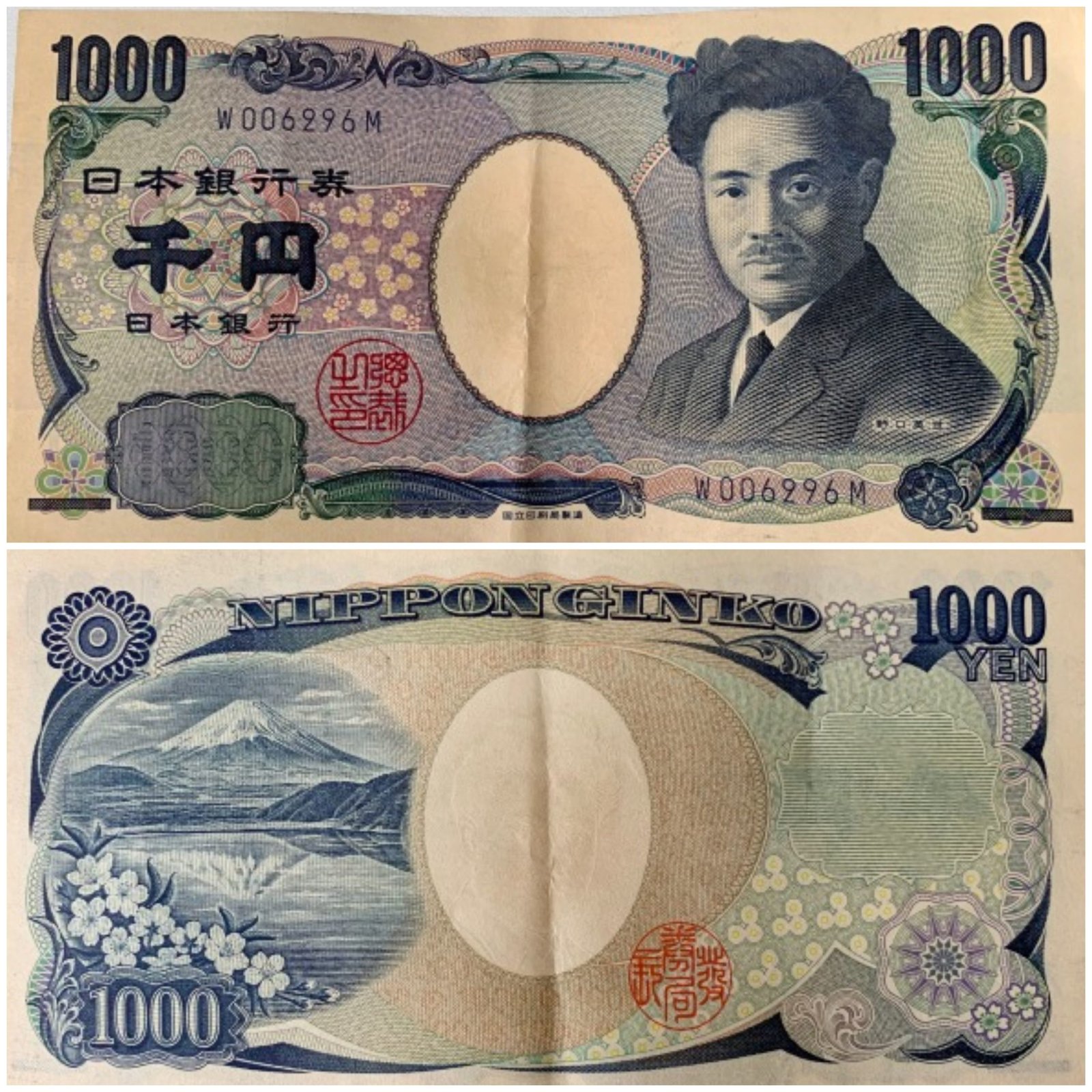 Hình ảnh bài viết NIPIKO