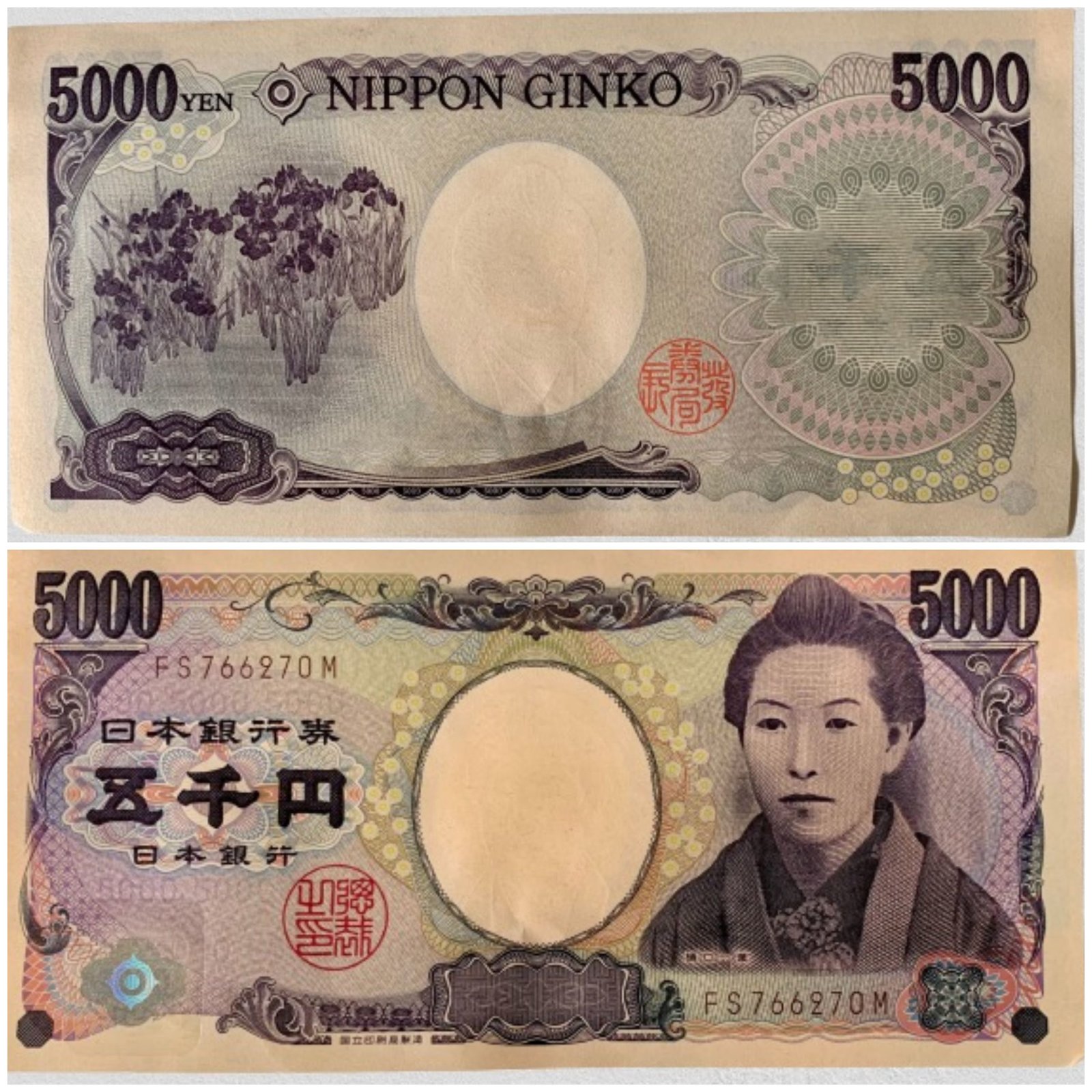 Hình ảnh bài viết NIPIKO