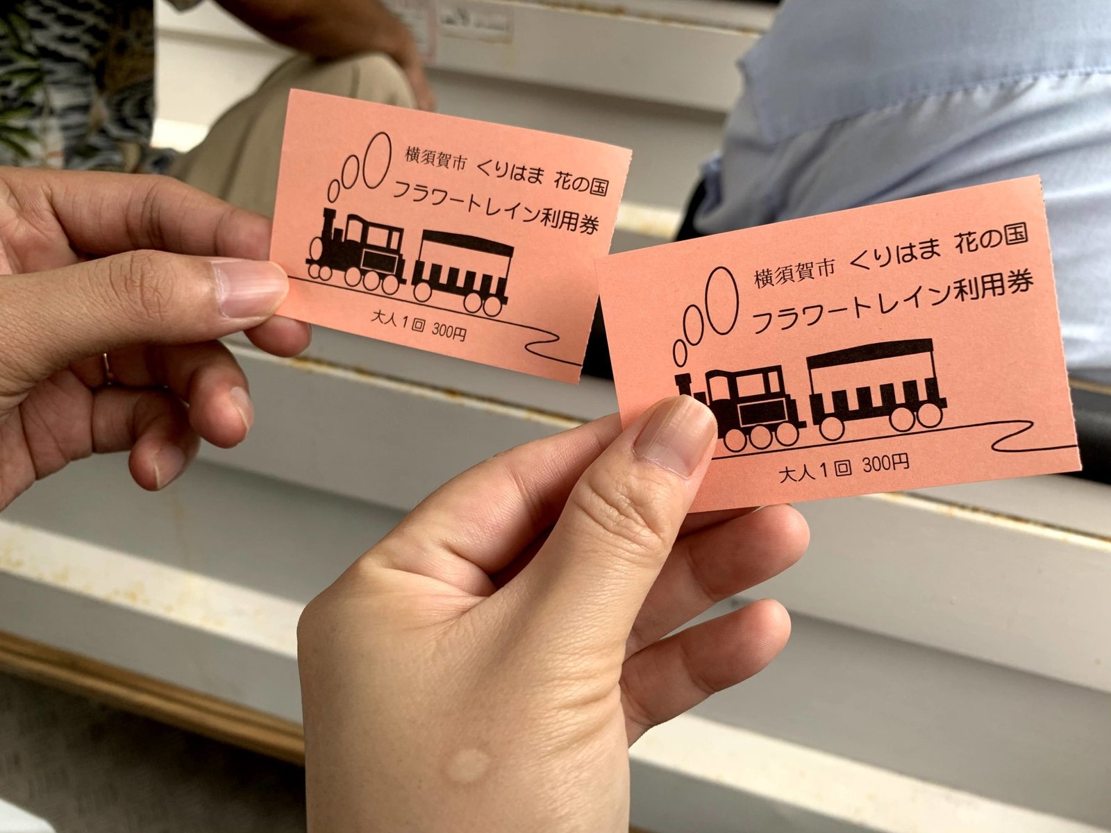 Hình ảnh bài viết NIPIKO