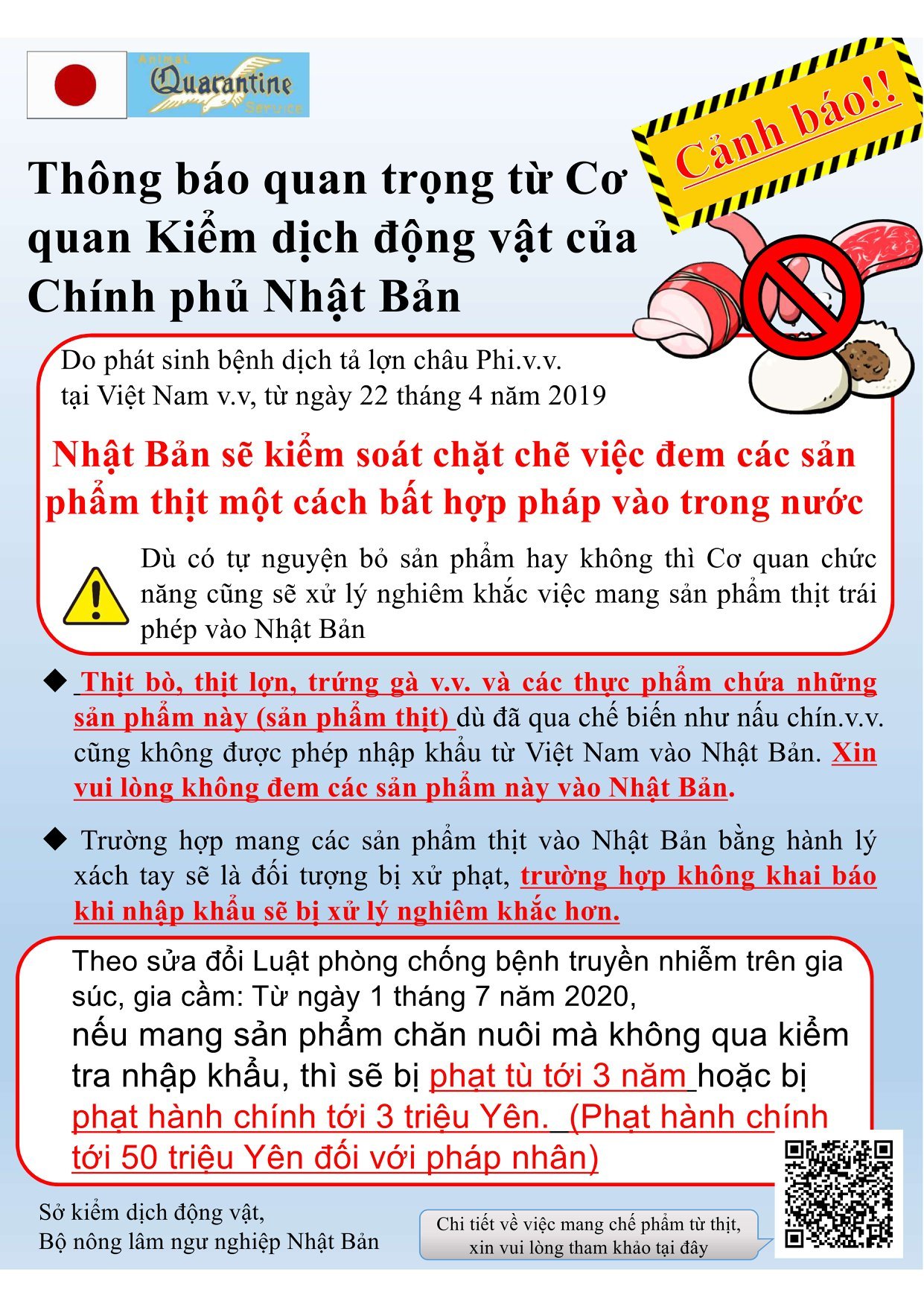 Hình ảnh bài viết NIPIKO