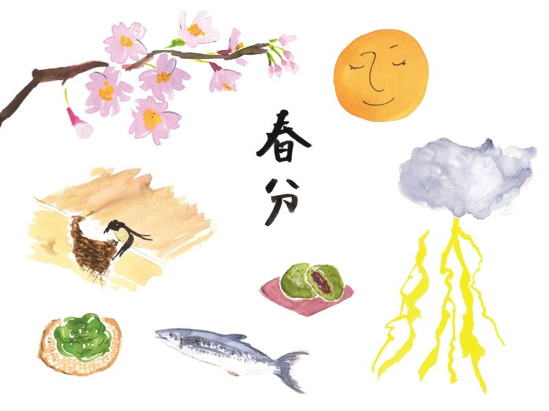 Đất nước nào cũng có ngày Xuân phân / Photo: https://www.mylohas.net