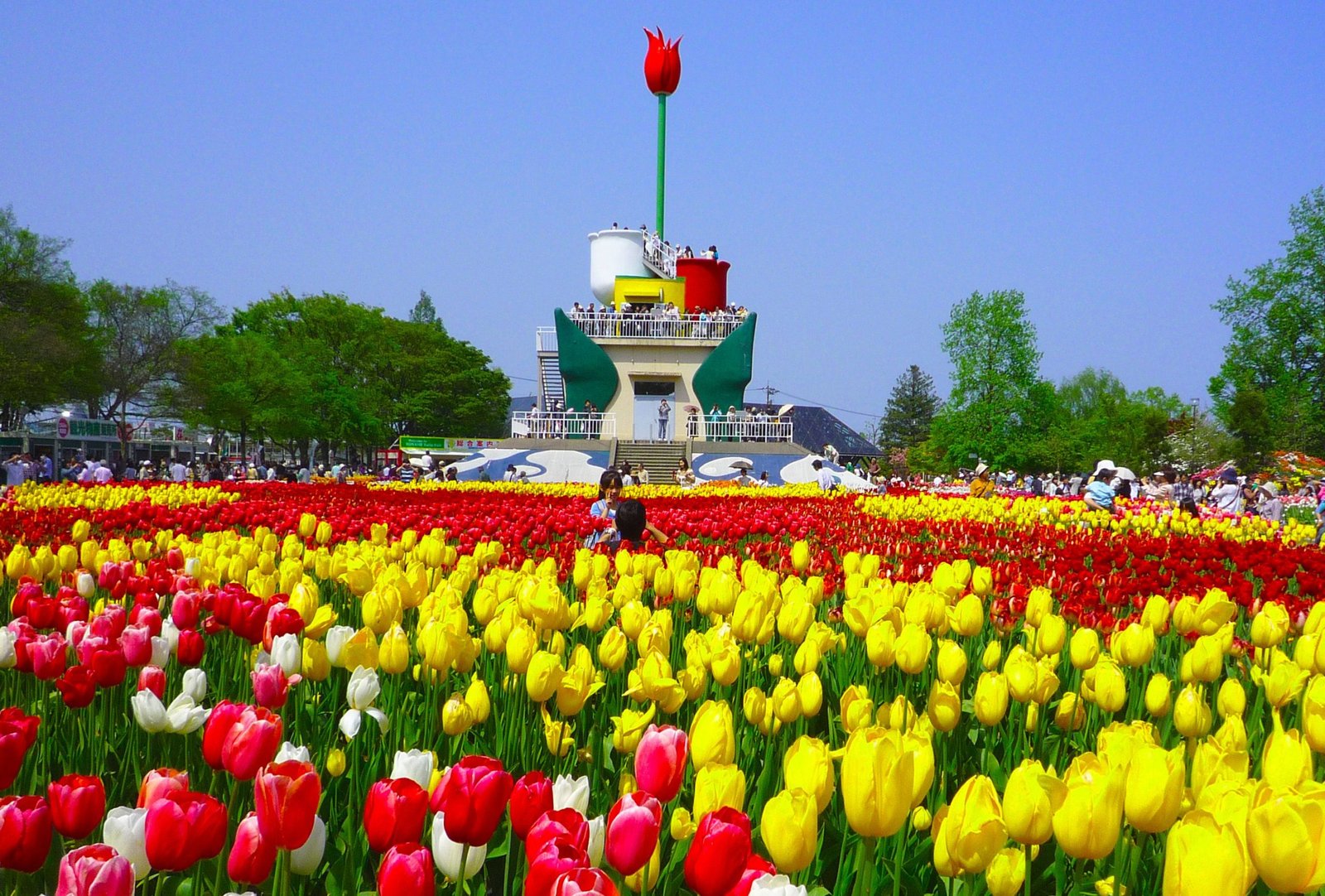 Tonami Tulip Park / Photo: https://br.pinterest.com