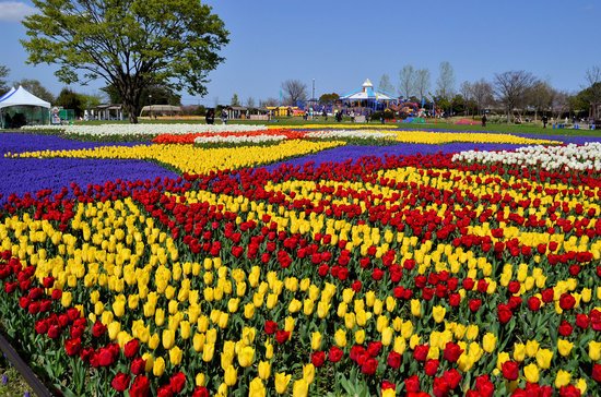 Photo: https://www.tripadvisor.com