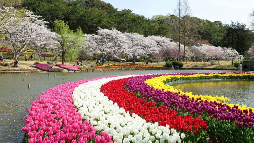 Photo: https://japan-highlightstravel.com