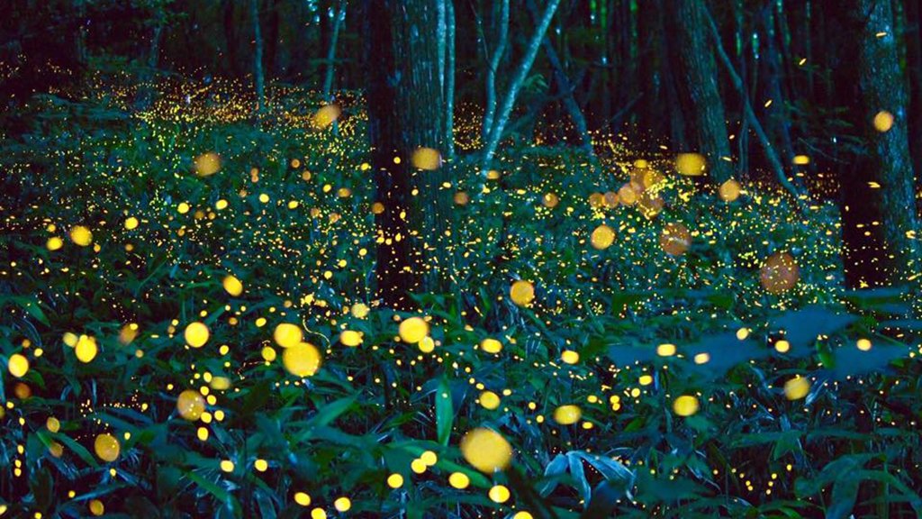Photo: https://livinginjapan.net