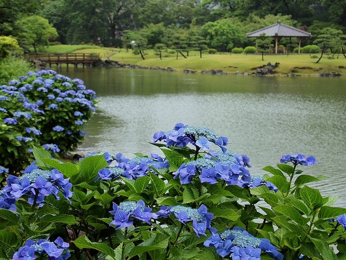 Công viên có một cái hồ lớn ở giữa, với một con đường bao quanh hồ/ Photo: https://massa0216.blog.fc2.com