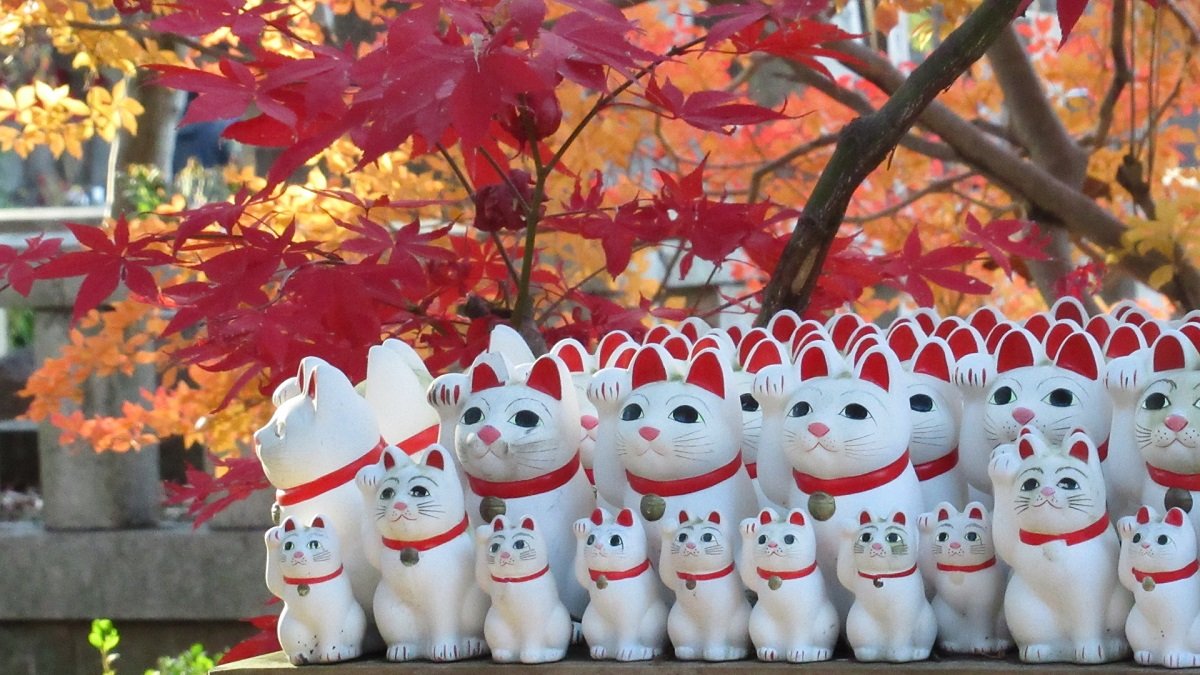 Những chú mèo Maneki Neko tại Gotokuji/ Photo: https://relife-search.com