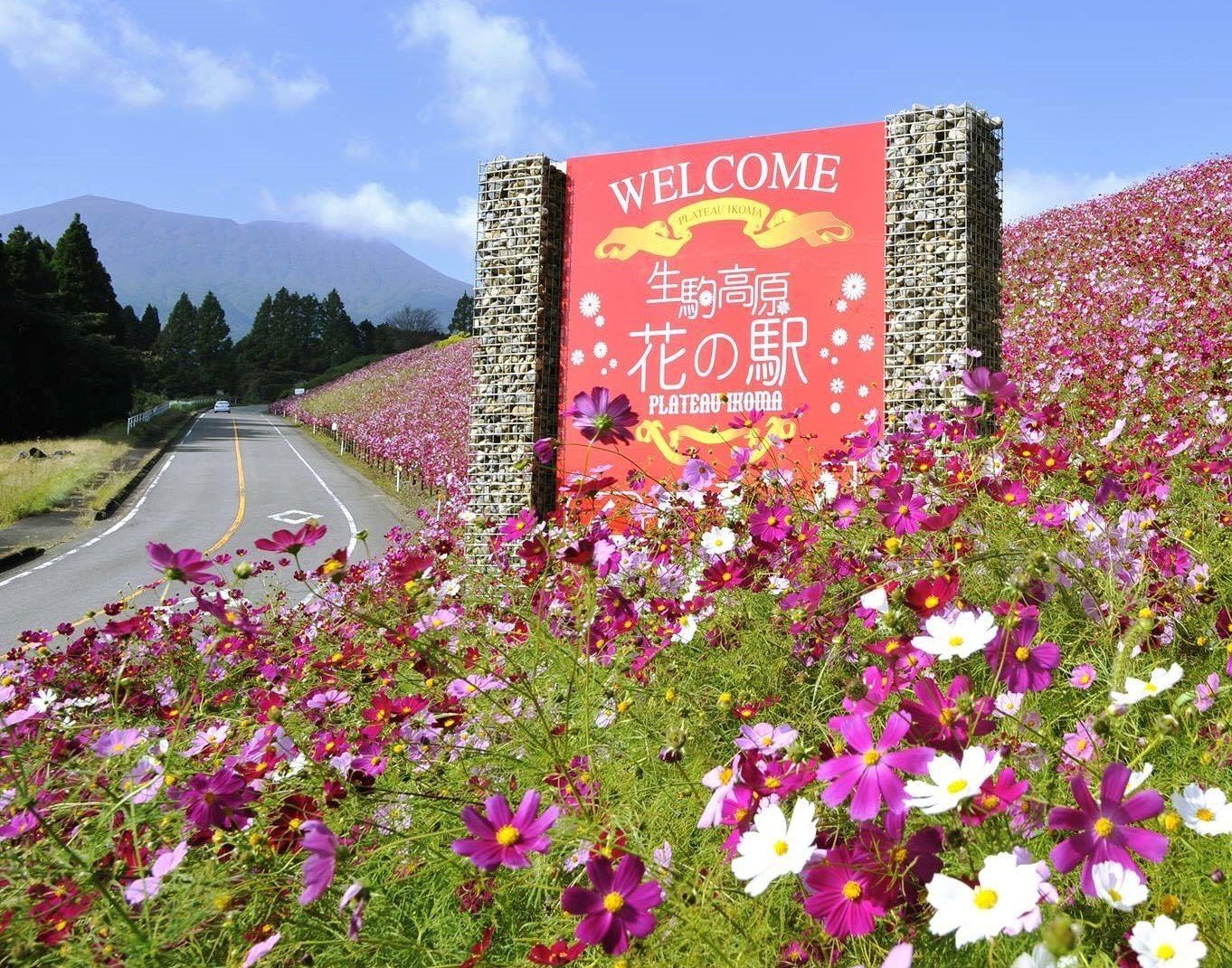 Photo: http://ikomakougen.com