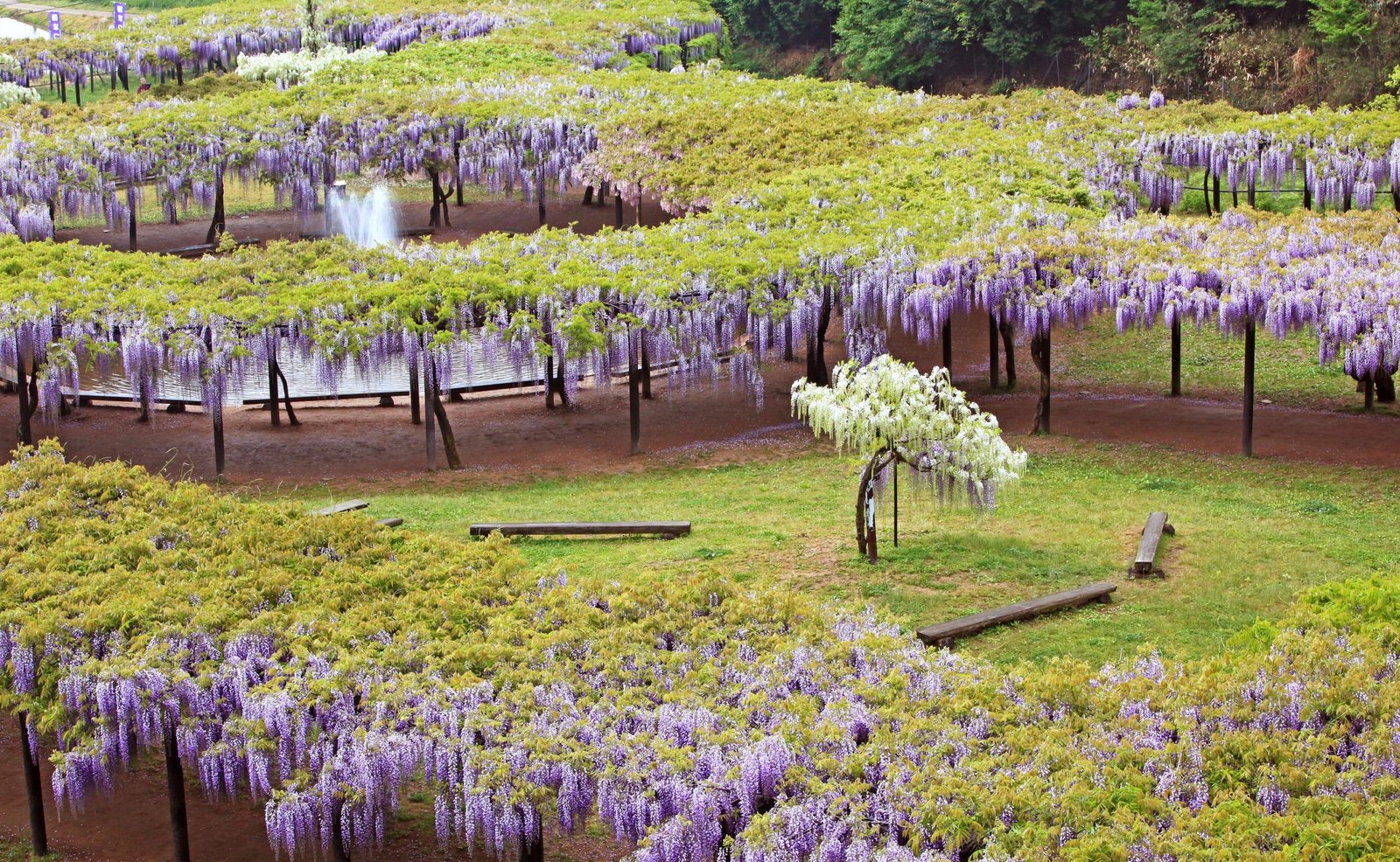 Photo: https://www.city.asago.hyogo.jp