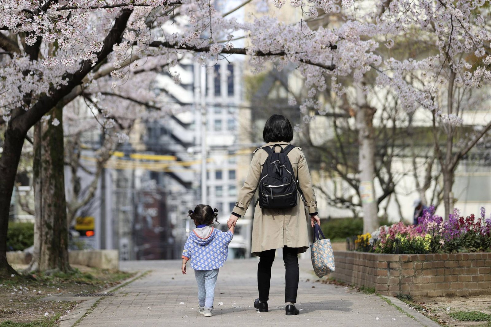 Bố mẹ Nhật sẽ tập đến trường cùng con/ Photo: The Japan Times