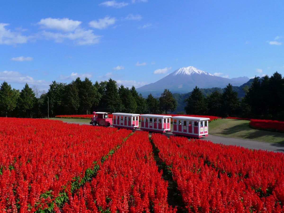 Photo: https://www.chushikokuandtokyo.org