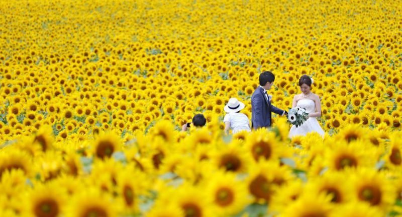 Photo: http://map.uu-hokkaido.jp