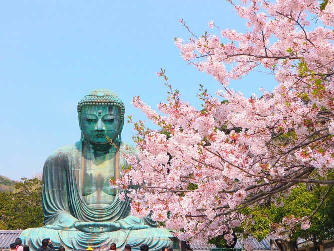 Kamakura từng là cố đô của nước Nhật trong một giai đoạn ngắn/ Photo: https://www.jalan.net