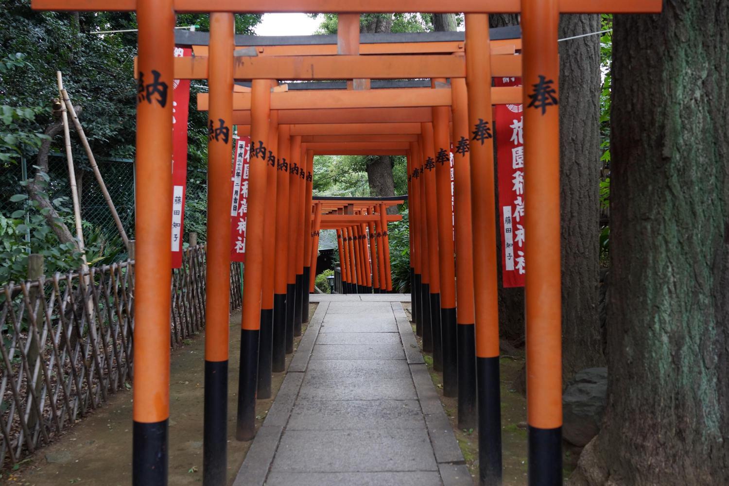 Những chiếc cổng Torii lối vào đền / Photo: https://www.ambassadors-japan.com