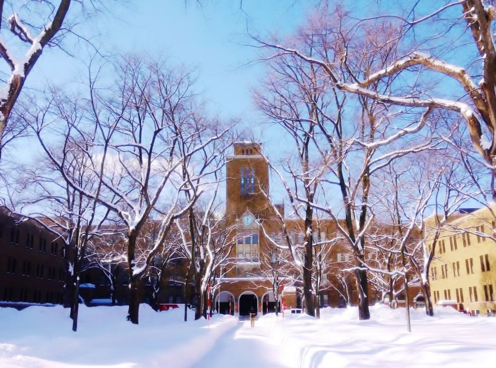 Mùa đông ở Hokkaido đẹp nhưng khắc nghiệt / Photo: https://www.travel.co.jp