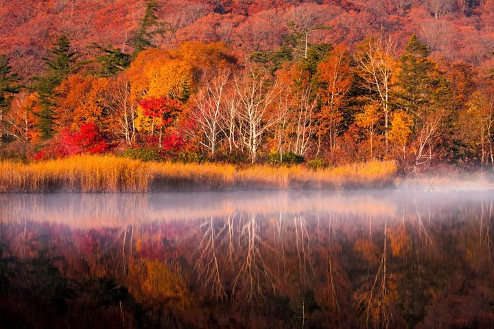 Bạn nên mang theo ô gấp và quần áo ấm nếu đến Hokkaido vào mùa thu/ Photo: http://travelzaurus.xyz