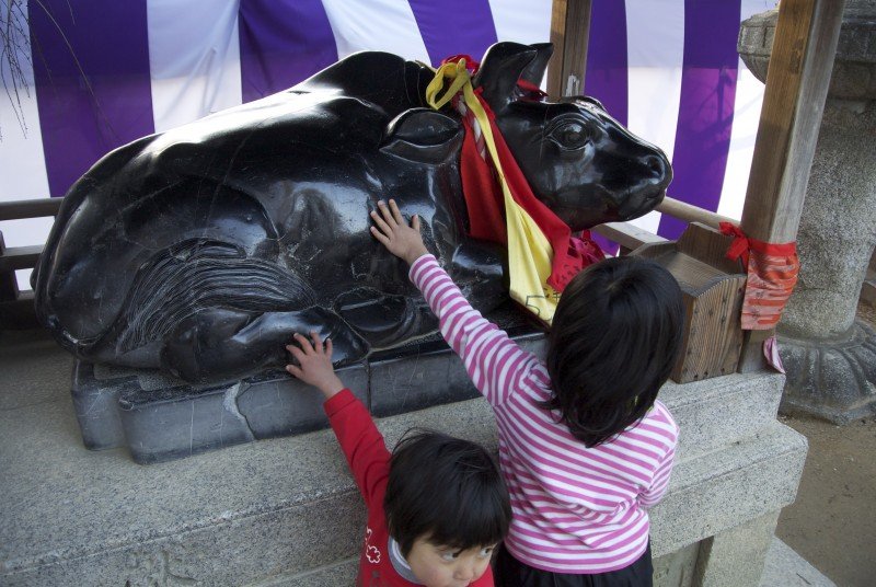 Trẻ em sờ tượng "thần học vấn" tại đền Kitano Tenmangu ở Kyoto/ Photo: https://www.greenshinto.com