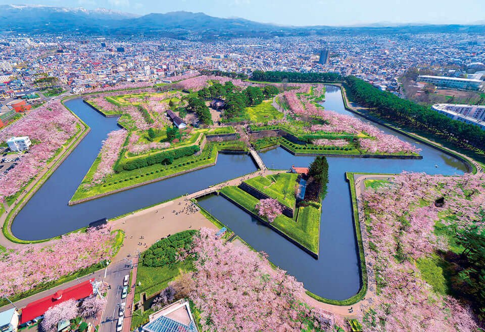 Ở Hokkaido hoa anh đào sẽ thường nở vào tháng 5/ Photo: https://hokkaido-kt.com