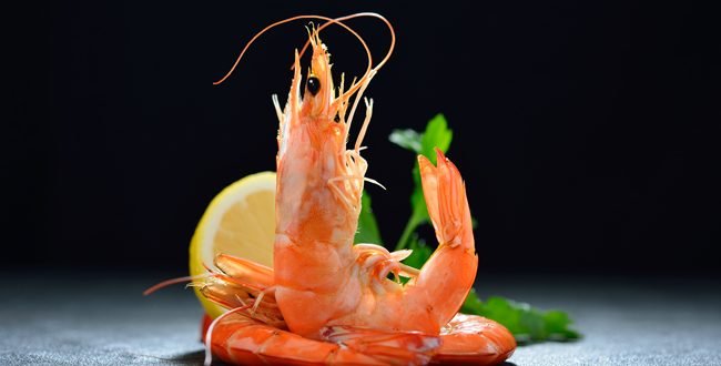 海老 【えび】 Tôm / Photo: https://chigai-allguide.com