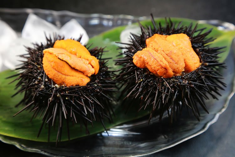 海胆【うに】Nhím biển/ Photo: https://business-textbooks.com