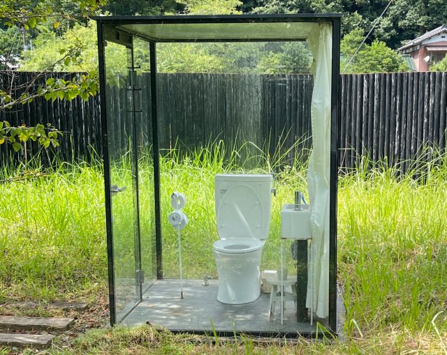 Hình ảnh bài viết NIPIKO