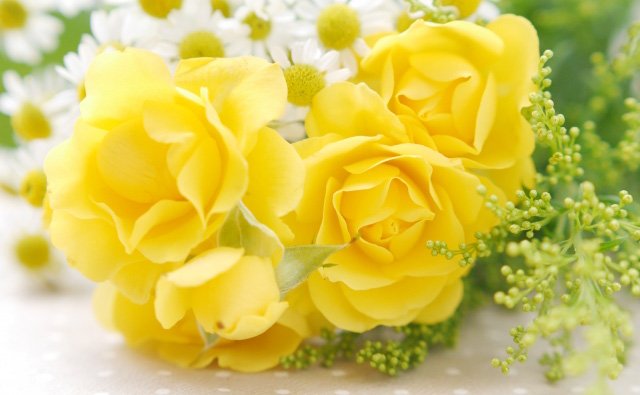 Photo: https://www.i-iro.com