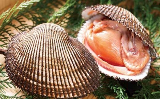赤貝 【あかがい】Sò huyết / Photo: https://www.furusato-tax.jp