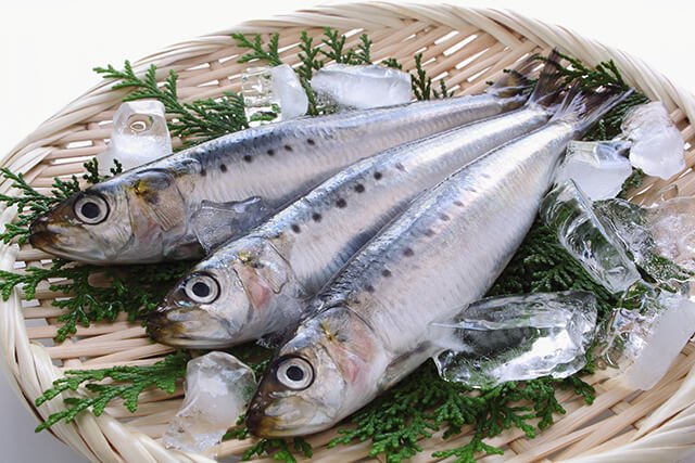 鰯 【いわし】Cá mòi / Photo: https://chefgohan.gnavi.co.jp