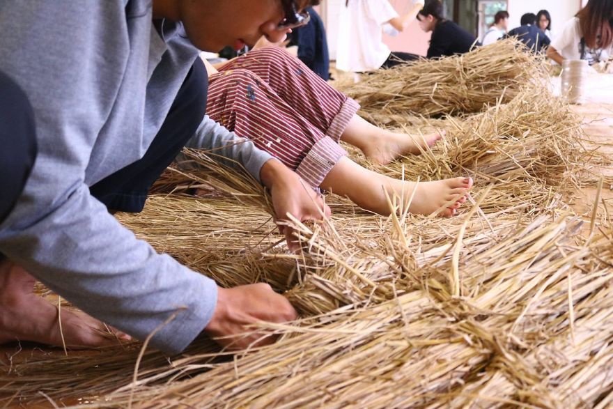Hình ảnh bài viết NIPIKO