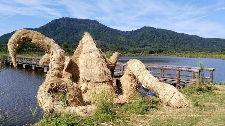 Hình ảnh bài viết NIPIKO