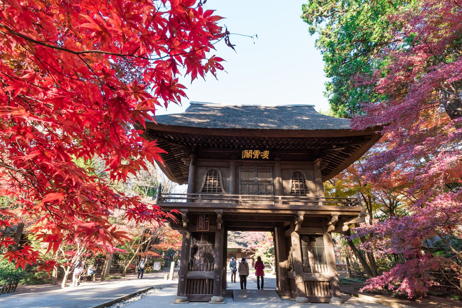 https://www.photo-saitama.jp