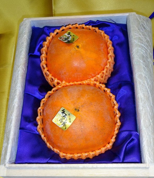 Hai quả hồng trong phiên đấu giá ngày 26 tháng 10 vừa qua/ Photo: Mainichi Shimbun