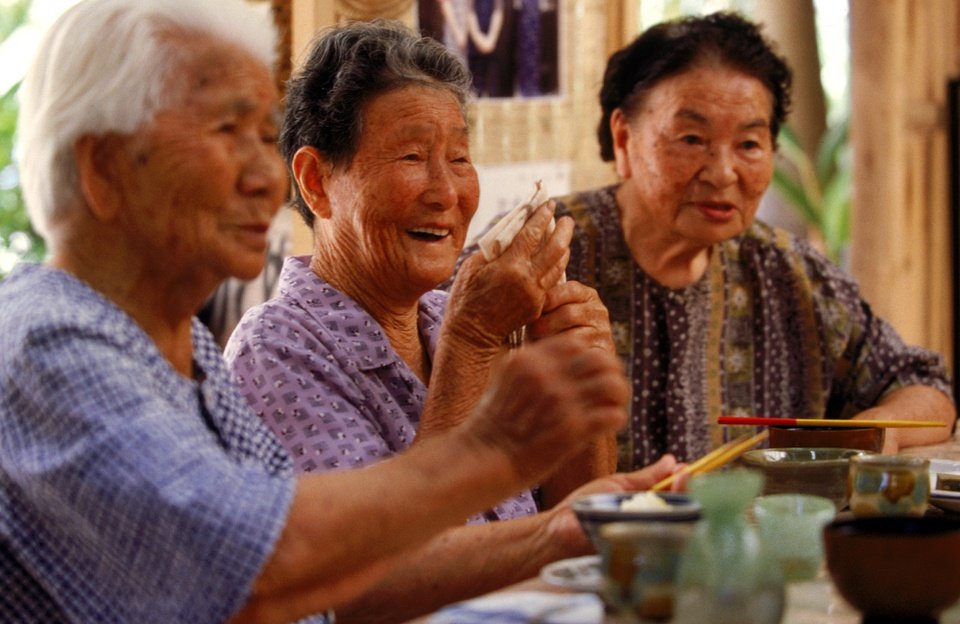 Hình ảnh bài viết NIPIKO