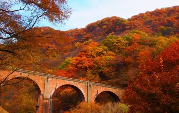 Photo: https://gunma-dc.net