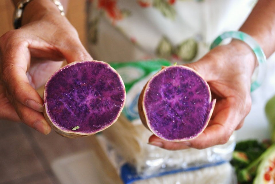 Hình ảnh bài viết NIPIKO