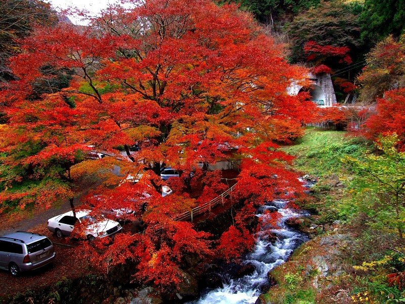 Photo: http://10.pro.tok2.com