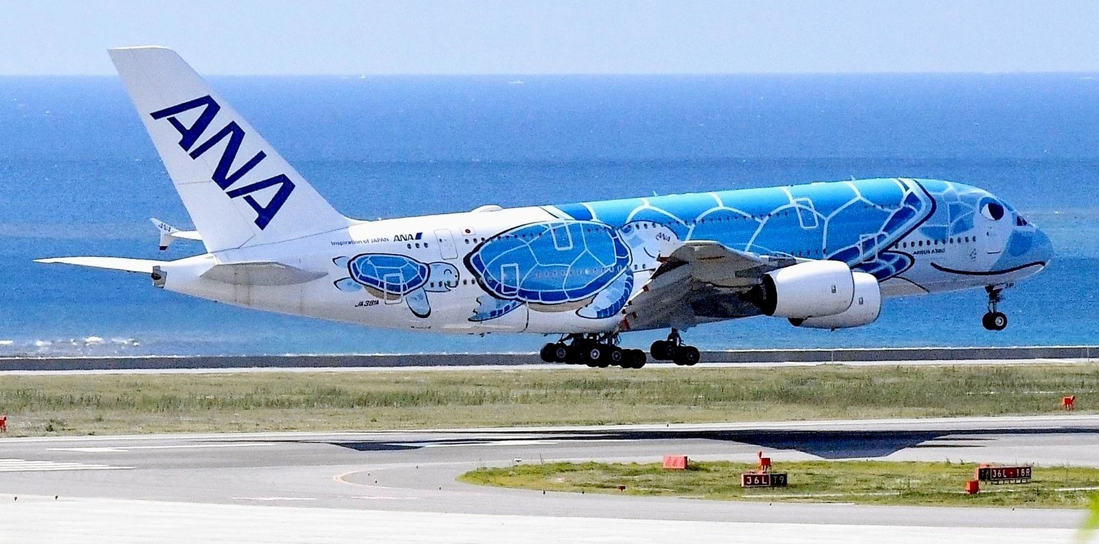 Siêu máy bay Airbus A380 của All Nippon Airways với hình ảnh những chú rùa biển được sơn bên ngoài /Photo: https://www.okinawatimes.co.jp